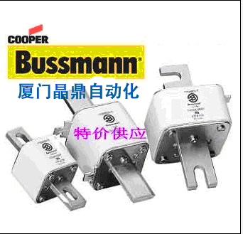 BUSSMANN۶