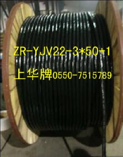 ZR-YJP-1000V-3*25+1*16ϻZCN-VVP