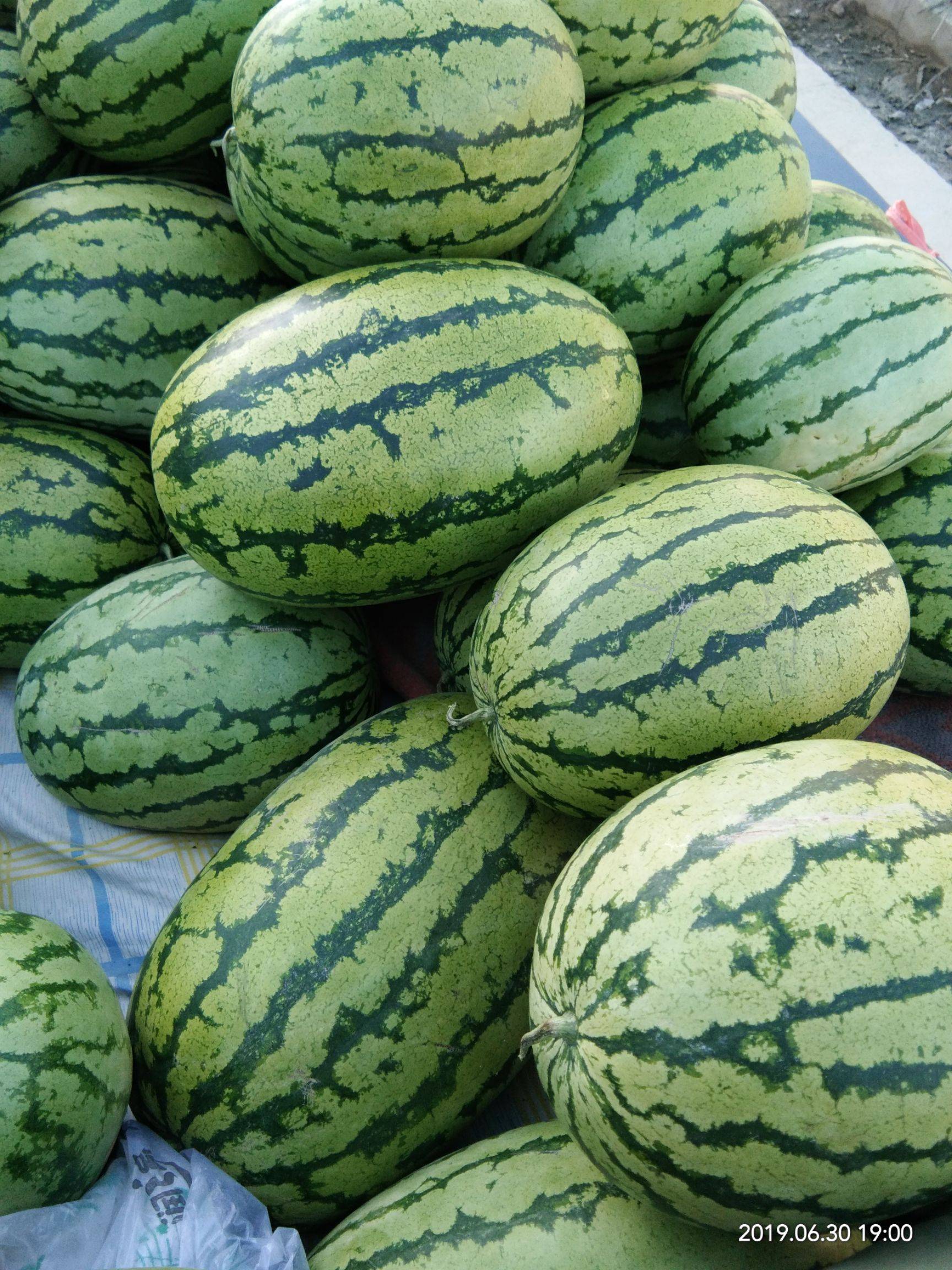 5۸񣬸ֹӦũƷ֣ҵƷʱ֤