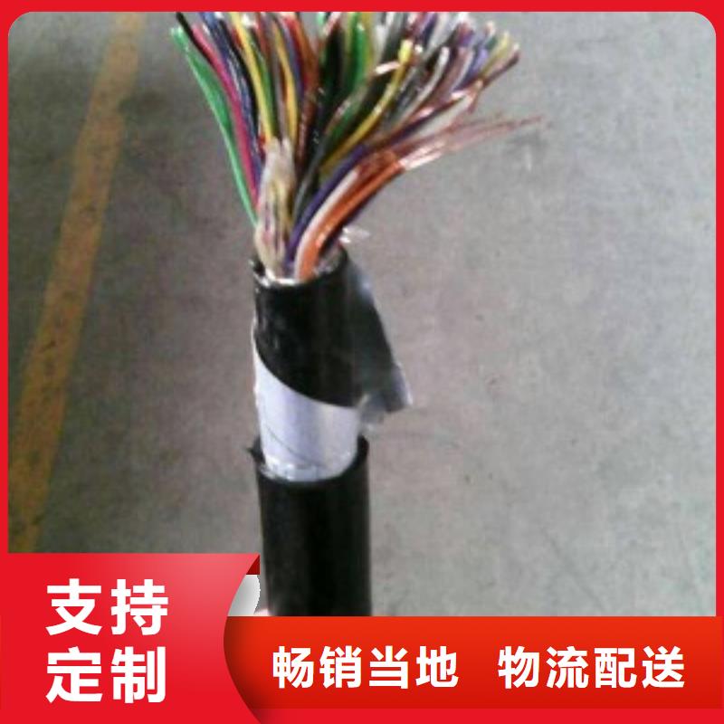 ±װͨŵ2*2*0.9WDZC-HYAP53-