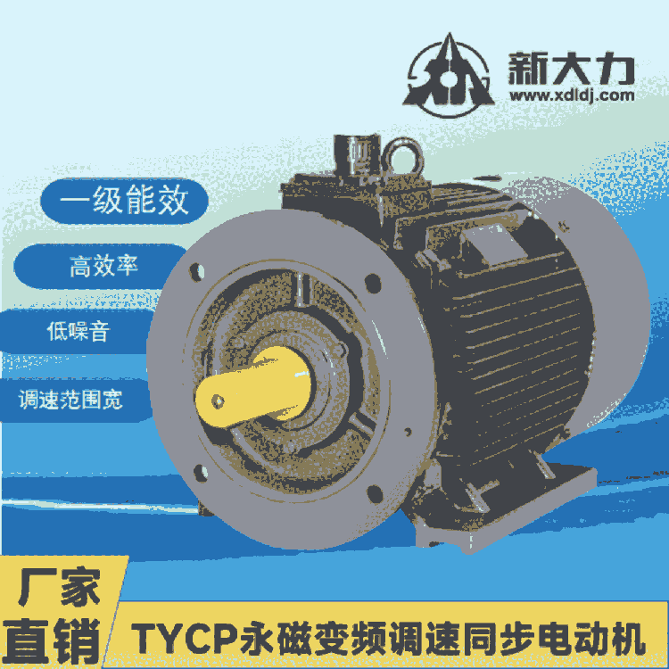 ´ һЧ ϡűƵͬ綯 TYCP250M-8-110KW ŵ