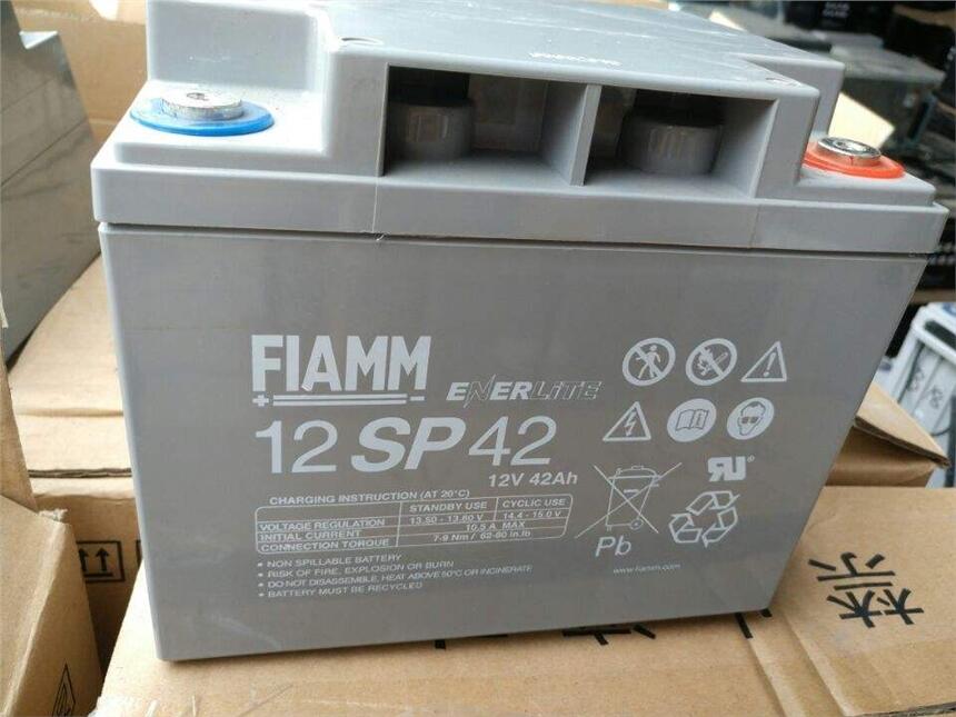 ǷFIAMM2GM800/2v800ahר