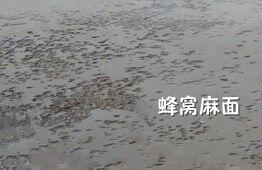 ·޲2023
