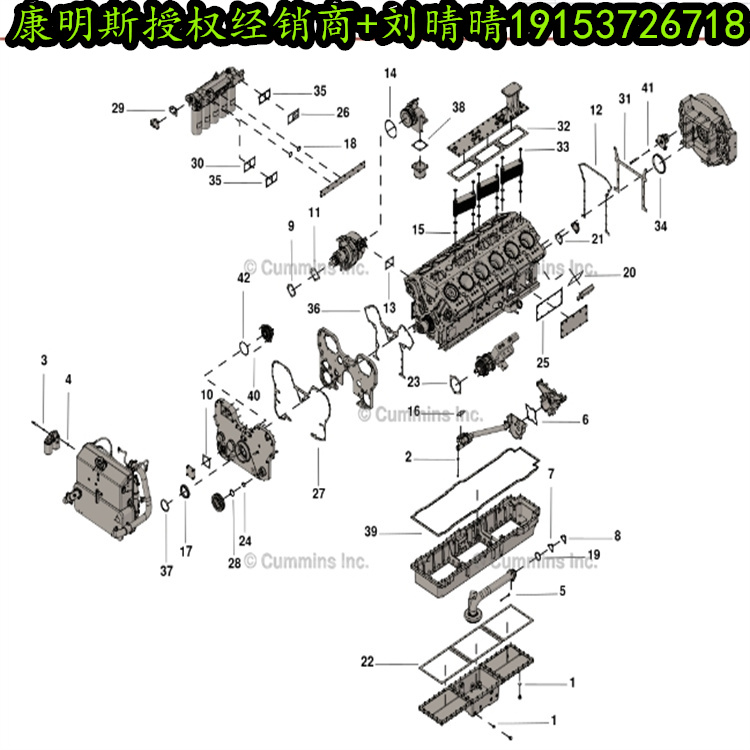 ɽеͻް4956090 ²Ƭ׼