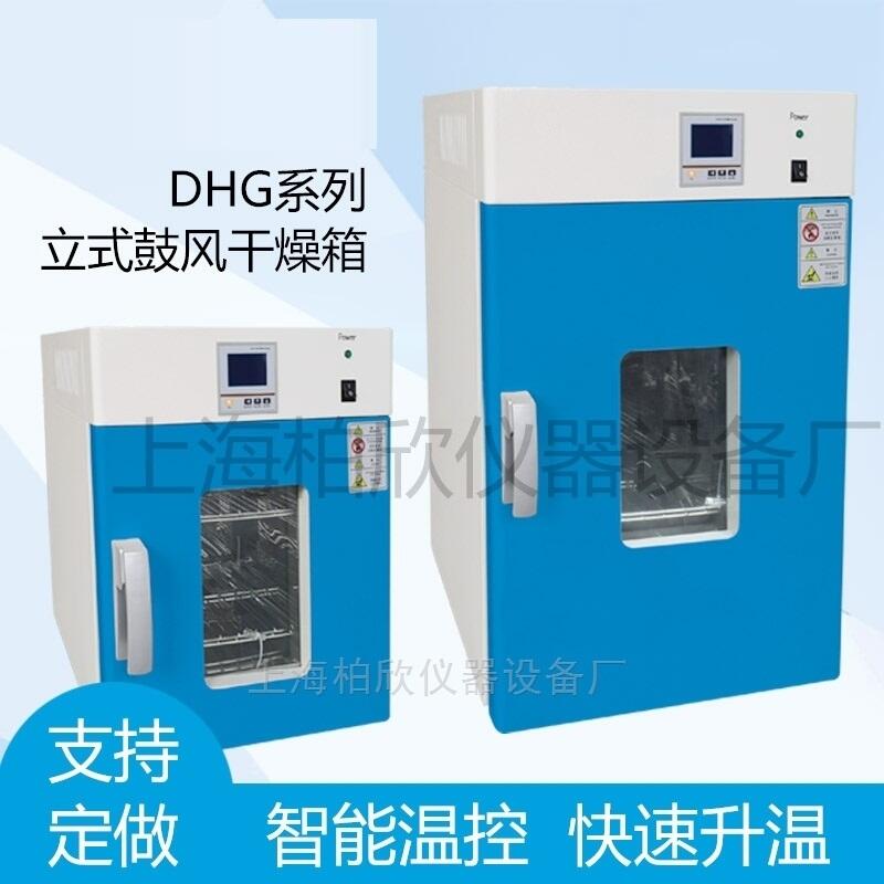 DZF-6050ո ʳƷ 䱨