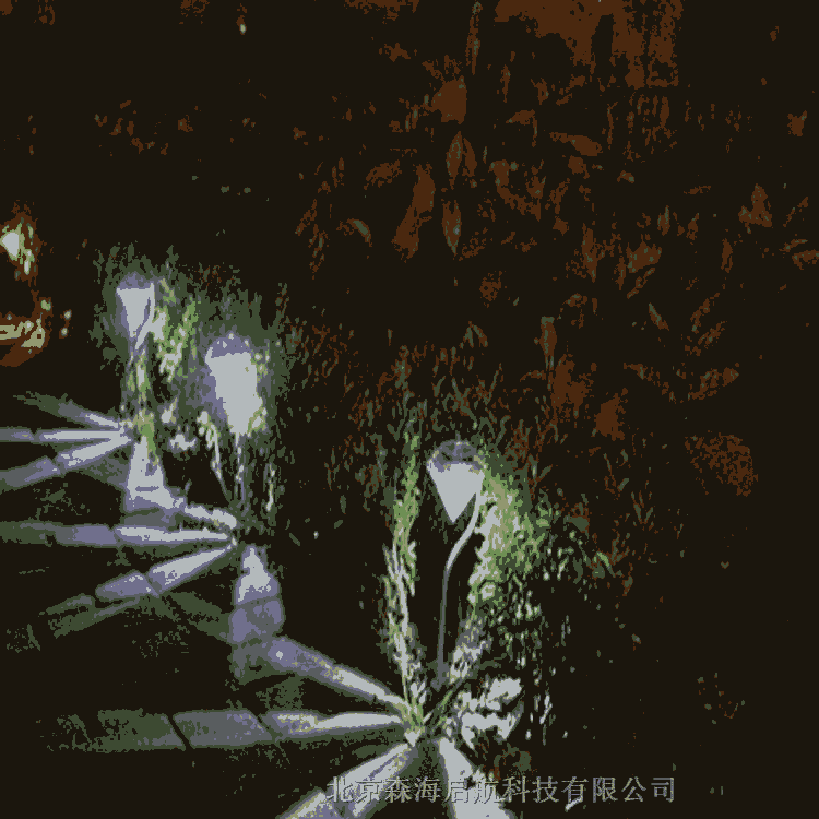 ̫ɱ˭Һ ̼Ƽɭ̫ɱ