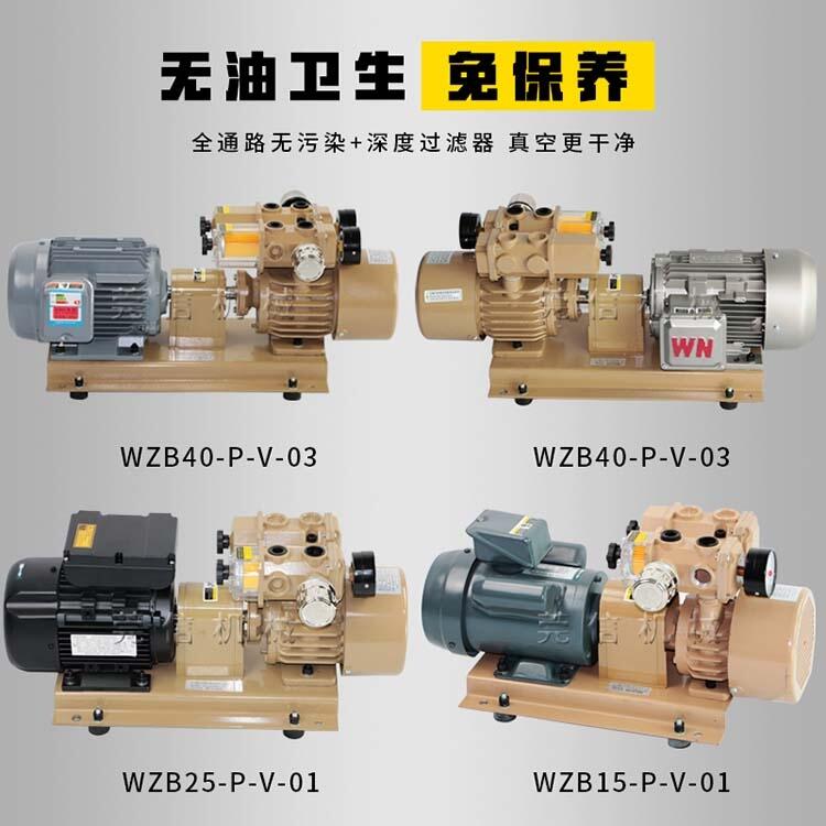 ϺձWZB25-P-VB-01ŻƬ
