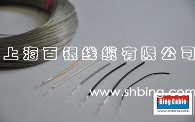 SFF-50-0.4ϸ/ϸͬ¾ԵPTFE