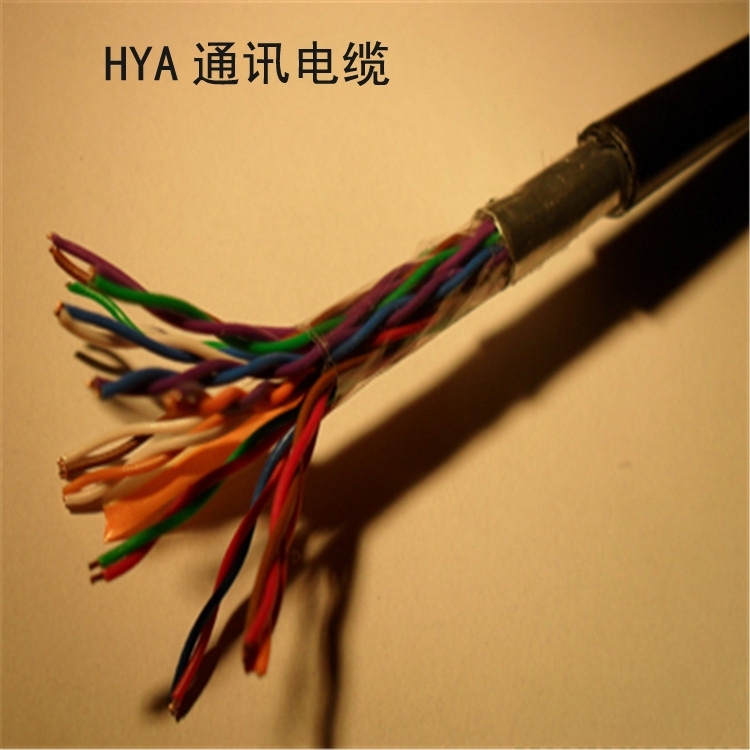 HYA22-10x2x0.5ͨŵ³