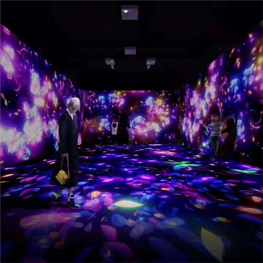 ?龰ͶӰӰչ˾