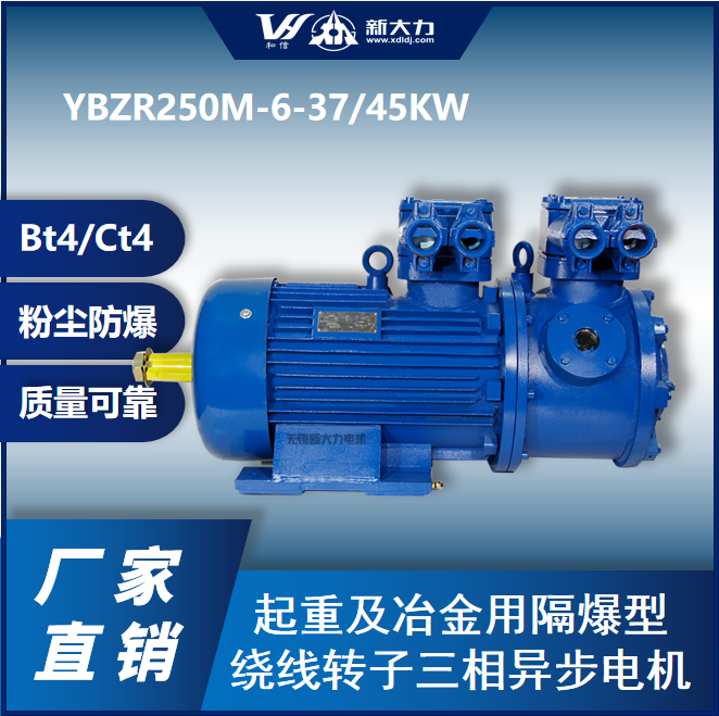 ´÷YBZR250M2-6-45KWBT4CT4۳