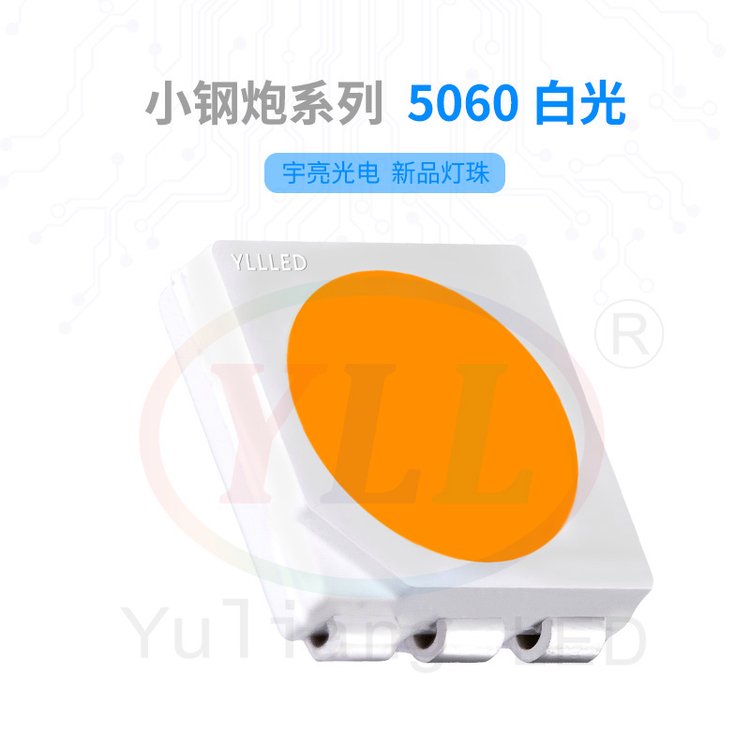 Сϵ5060׹LEDС0.2WȾԪоƬװ