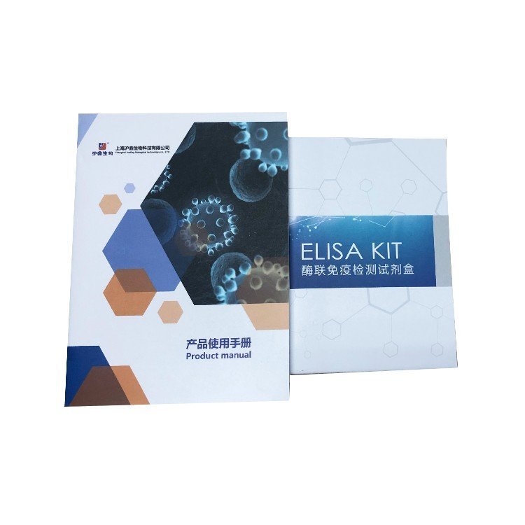 ճ2(ICAM-2\/CD102)ELISAԼм۸