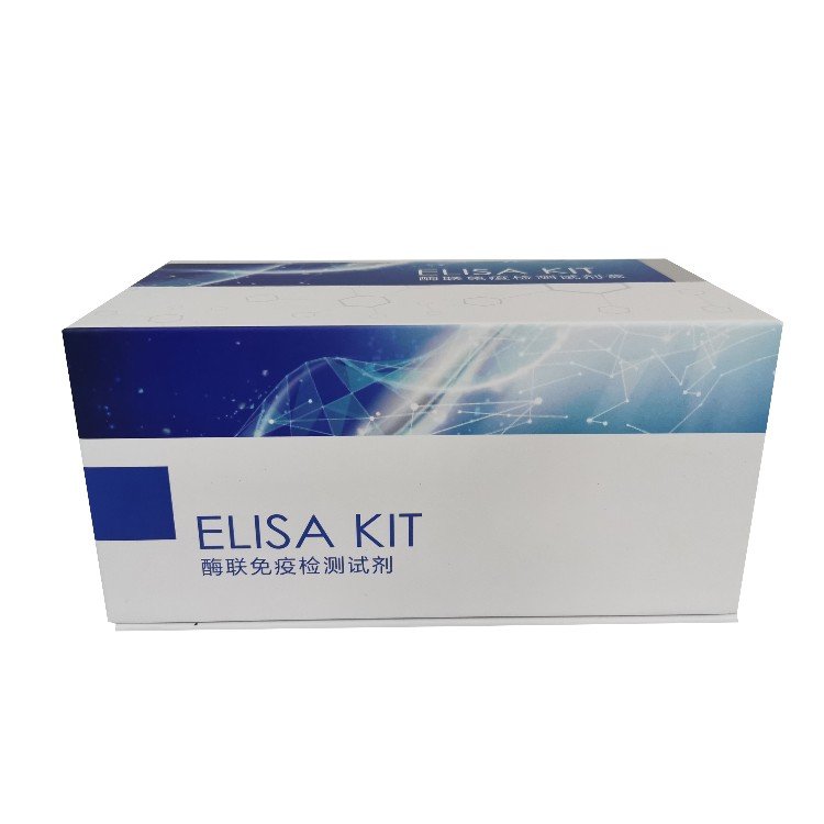 ţϸ13IL-13ELISAԼ