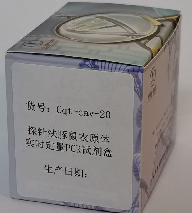 ̽뷨ԭʵʱPCRԼ-Cqt-cav-20