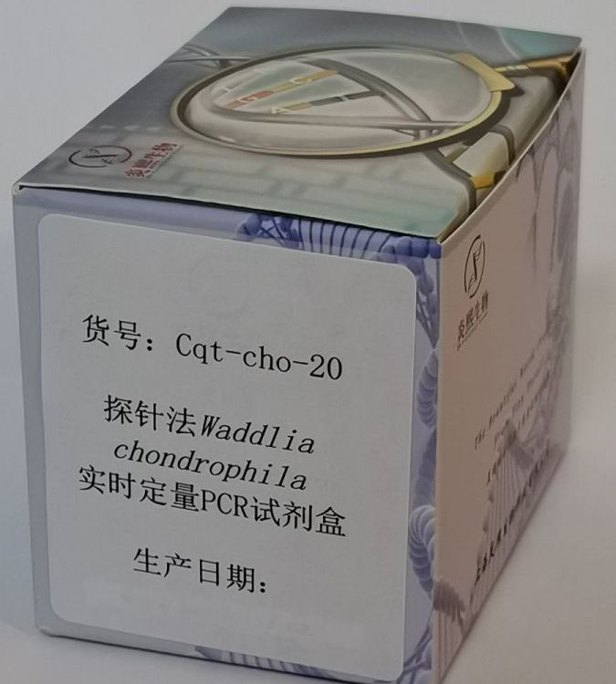 ̽뷨WaddliachondrophilaʵʱPCRԼ-ʯ¾