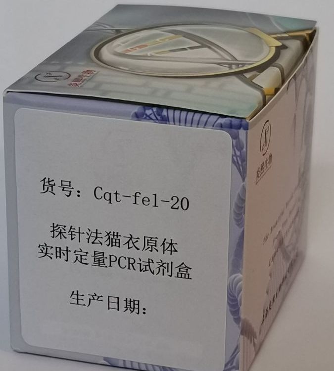 ̽뷨èԭʵʱPCRԼ-Cqt-fel-20